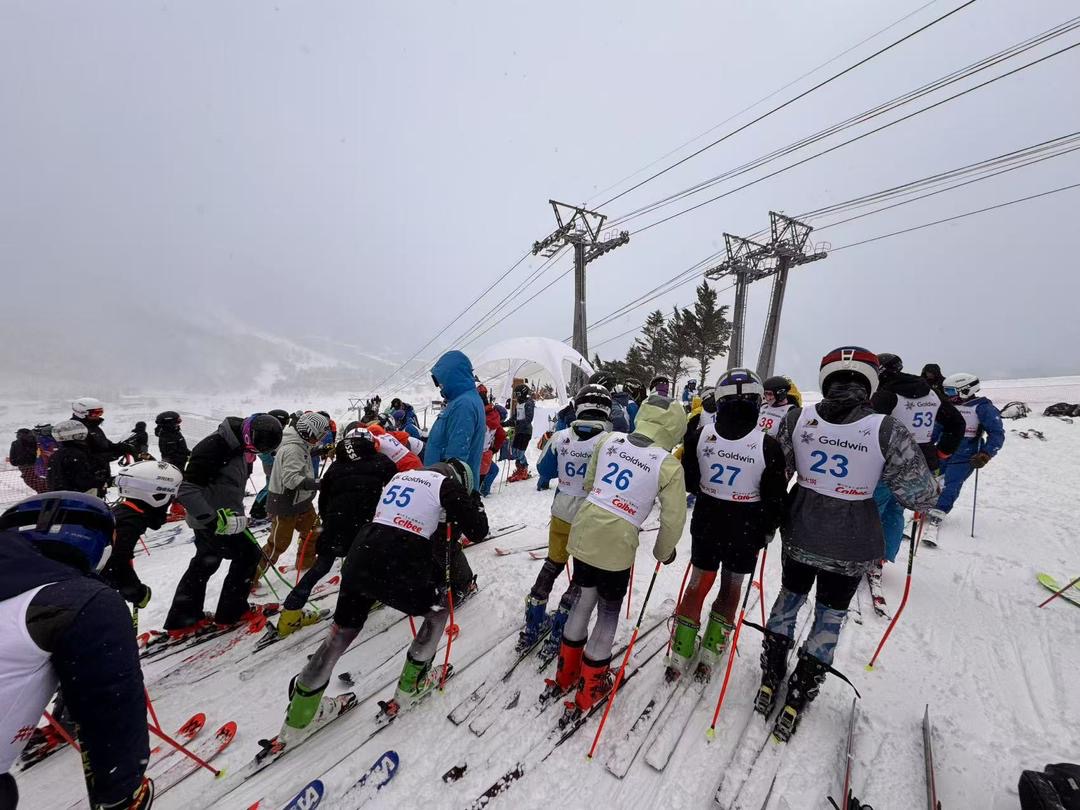 20250221goldwinchi | sa-hk